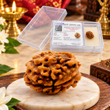 3 Mukhi Rudraksha Lab Certified