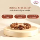 Natural Five Mukhi Rudraksha Stretchable Bracelet