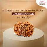 Lab Certified Nepali Gauri Shankar Rudraksha Beads (4.24 g)