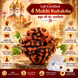 4 Mukhi Natural Rudraksha Lab Certified