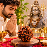 4 Mukhi Natural Rudraksha Lab Certified
