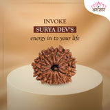 12 Mukhi Rudraksha Certified 1.97 Grams