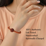 Natural Five Mukhi Rudraksha Stretchable Bracelet
