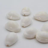 100% Natural White Kodi Shells (Kaudi Shells) | Best to Use in Puja