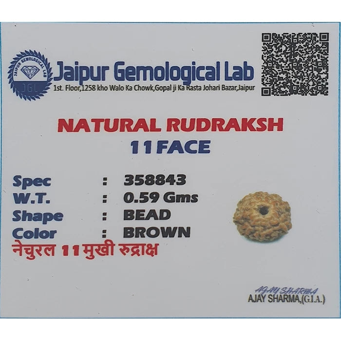 Natural 11 Mukhi Rudraksha Bead  Pendant For Men Women,Original Lab Certified Nepal Origin Eleven Mukhi Rudraksha Locket For Neck,11 Face Gol Dana Brown Color Rudraksha