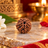 5 Mukhi Natural Rudraksha Lab Certified in yellow packiging (2.53g)