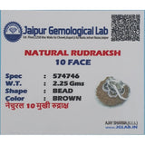 Natural 10 Mukhi Rudraksha Bead   Pendant For Men Women,Original Lab Certified Nepal Origin Das Mukhi Rudraksha,Ten Face Rudraksha Silver Plated Locket For Neck