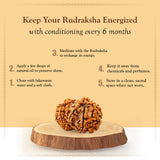 Lab Certified Nepali Gauri Shankar Rudraksha Beads (4.24 g)