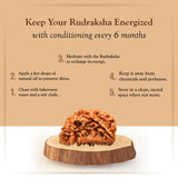Nepali Natural 1 Mukhi Rudraksha Lab Certified (2.48 g)