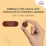 Lab Certified 7 Mukhi Rudraksha