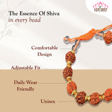 Natural Rudraksha Golden Cap Beads Bracelet