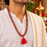Certified Natural 6 Mukhi Rudraksha Pooja Mala