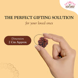 4 Mukhi Natural Rudraksha Lab Certified