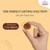 13 Mukhi Natural Indonesia Rudraksha Lab Certified