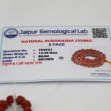 Original Certified 5 Mukhi Rudraksha Mala (yellow packaging)