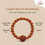Natural Five Mukhi Rudraksha Stretchable Bracelet