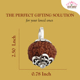 Original 10 Mukhi Rudraksha Bead Silver locket