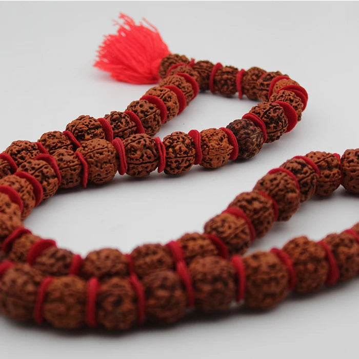 Pack of 2 Combo Panchmukhi Rudraksha Mala 54+1 Beads Original And Rudraksha Bracelet For Men And Women