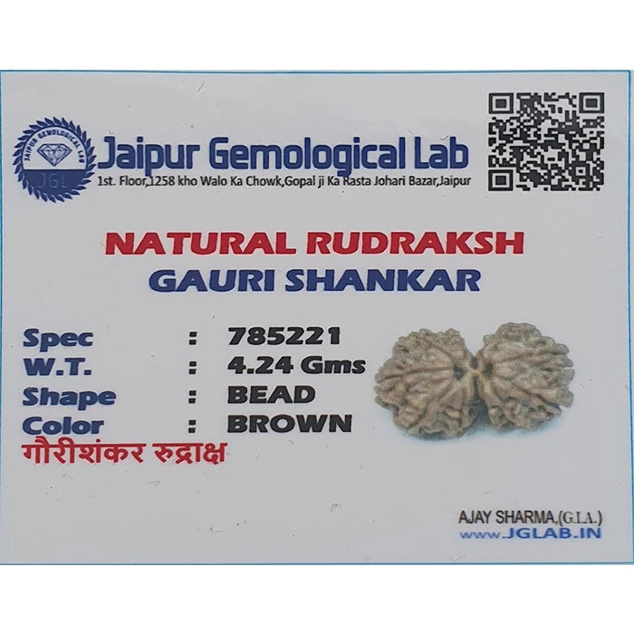Natural Gauri Shankar Rudraksha Box For Men Women,Original Lab Certified Nepali Gauri Shankar Rudraksha,Joint Shiv Parvati Rudraksha 11 Mukhi Brown Color Bead Shape 4.24 g