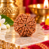 8 Mukhi Natural Rudraksha Lab Certified