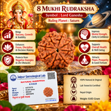 8 Mukhi Natural Rudraksha Lab Certified