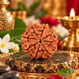 8 Mukhi Natural Rudraksha Lab Certified