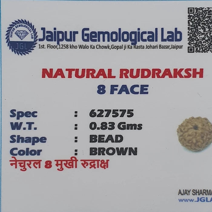 8 Mukhi Natural Rudraksha Lab Certified