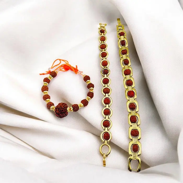 Pack Of 3 Natural 5 Mukhi Rudraksha Bracelet Combo l Stylish Small Size Golden Rudraksha