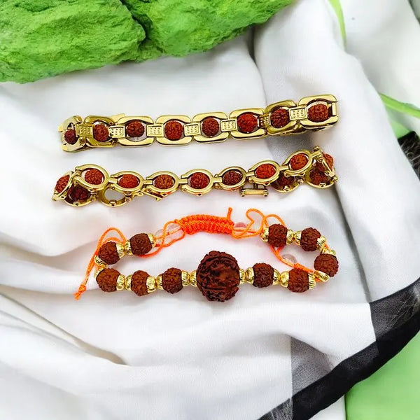 Pack Of 3 Natural 5 Mukhi Rudraksha Bracelet Combo l Stylish Small Size Golden Rudraksha