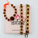 Pack Of 3 Natural 5 Mukhi Rudraksha Bracelet Combo l Stylish Small Size Golden Rudraksha