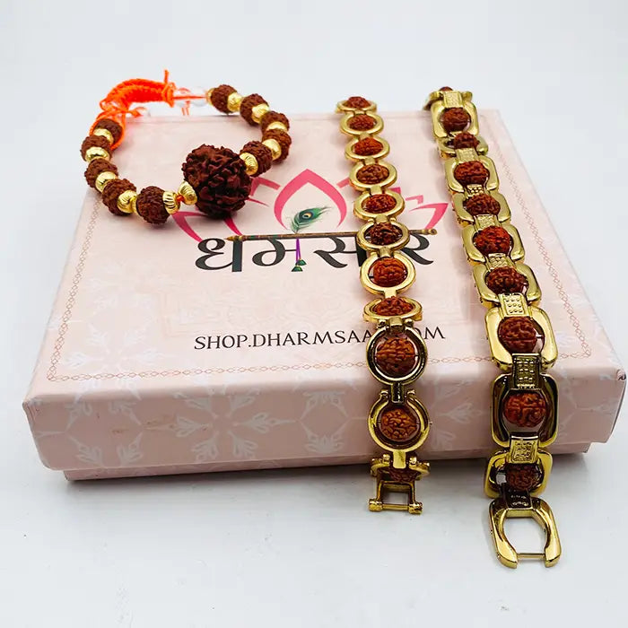 Pack Of 3 Natural 5 Mukhi Rudraksha Bracelet Combo l Stylish Small Size Golden Rudraksha