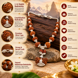 Certified 1-14 Mukhi Gaurishankar Rudraksha Indoneasia Kanthi Mala (43.52 G)