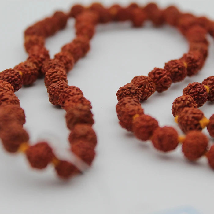 Mala Rudki Certified 108 Beads 5 Mukhi Rudraksha Mala in Red packaging – Dharmsaar