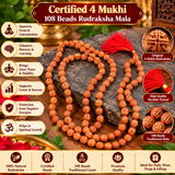 Certified 4 Mukhi 108 Beads Rudraksha Mala