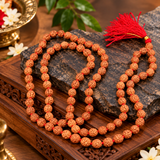 Certified 4 Mukhi 108 Beads Rudraksha Mala