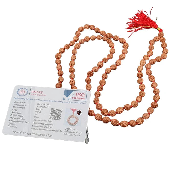 Certified 4 Mukhi Nepal 108 Beads Rudraksha Mala