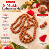 Certified 8 Mukhi 108 Beads Rudraksha Mala