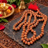 Certified 8 Mukhi 108 Beads Rudraksha Mala