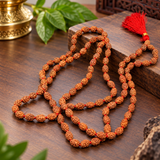 Certified Nepali Brown 2 Mukhi Rudraksha Jaap Mala
