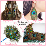 Peacock Feather | Original Mor Pankh (Set of 11 Tails) - Length Size 30 Inches