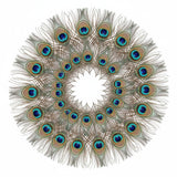 Peacock Feather | Original Mor Pankh (Set of 11 Tails) - Length Size 30 Inches