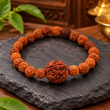Natural Five Mukhi Rudraksha Stretchable Bracelet