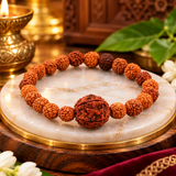 Natural Five Mukhi Rudraksha Stretchable Bracelet
