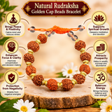 Natural Rudraksha Golden Cap Beads Bracelet