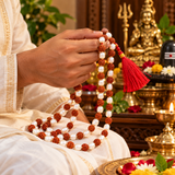 Natural Rudraksha with White Pearl Moti Mala
