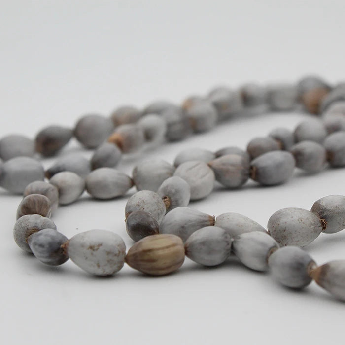 Natural White Vaijanti Mala Original 108 with Rudrakhsha