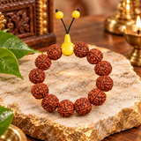 Original 5 Mukhi Big Rudraksha Bracelet