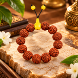Original 5 Mukhi Big Rudraksha Bracelet