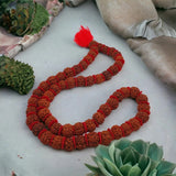 Original 5 Mukhi Kanthi Rudraksha Beads 54+1 Mala for Men Women