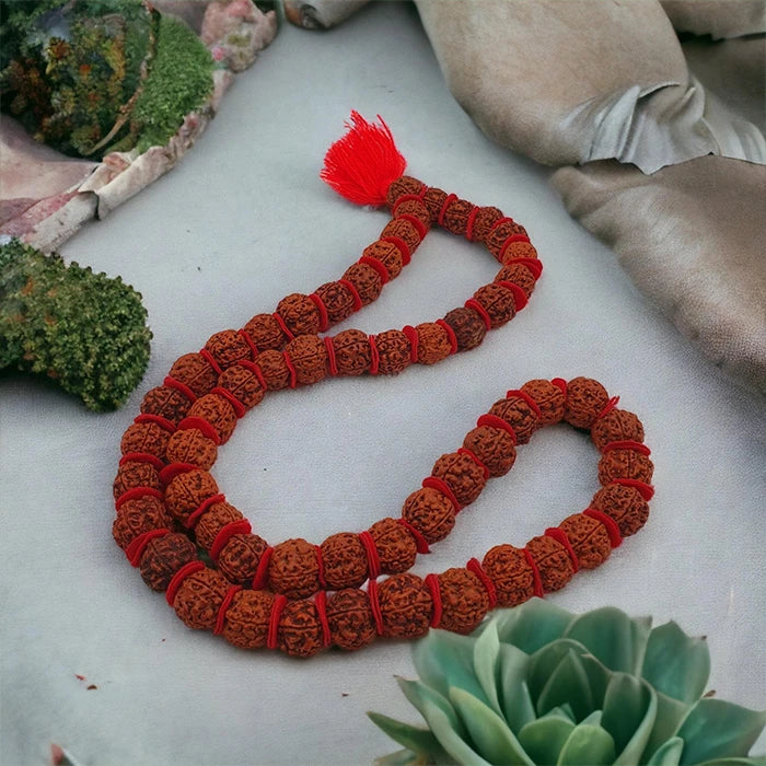 Original 5 Mukhi Kanthi Rudraksha Beads 54+1 Mala for Men Women
